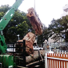 Garden Refuse Removal Image